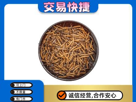 驿城区高价回收散虫草